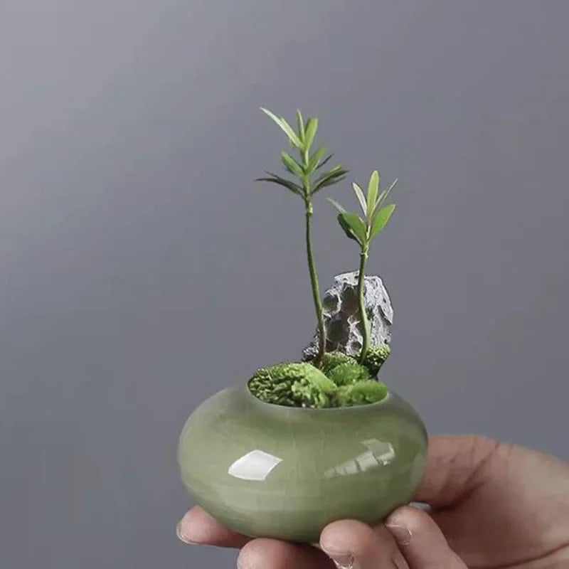 Mini Ceramic Succulent Planter – Ice-Cracked Glaze Vase