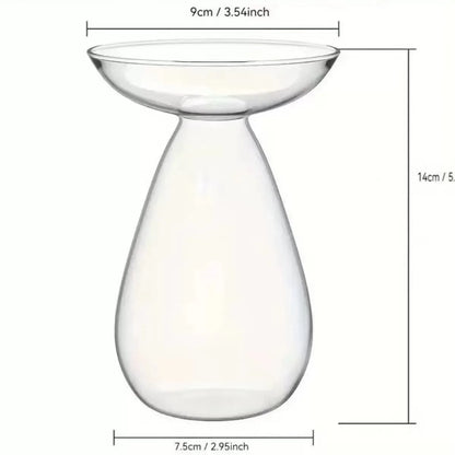 Avocado Seed Starter Glass Vase – Grow Your Own Plant Indoors
