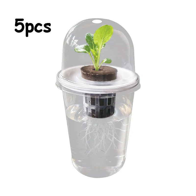 Hydroponic Seed Starter – Transparent Root Pot