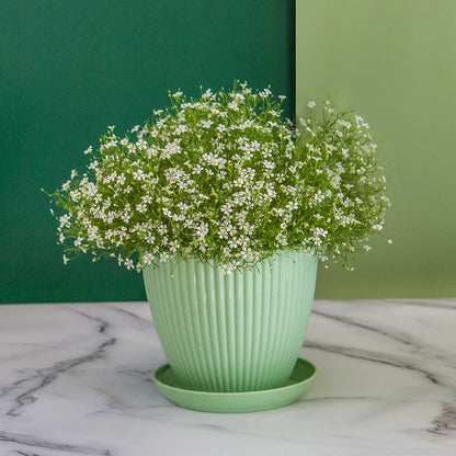 Minimalist Resin Plant Pot with Drainage Tray
