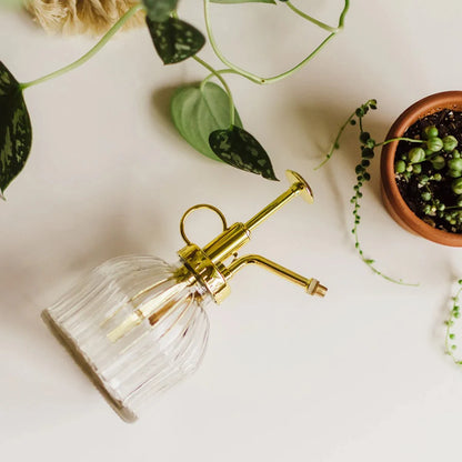Vintage Glass Plant Mister – 200ML Spray Bottle for Indoor Plants