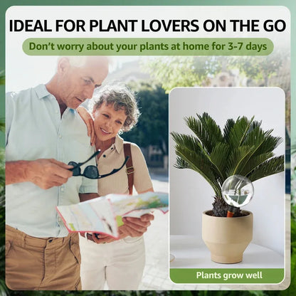 Automatic Self-Watering Plant Bulbs – 2/4 Pack, 500ml