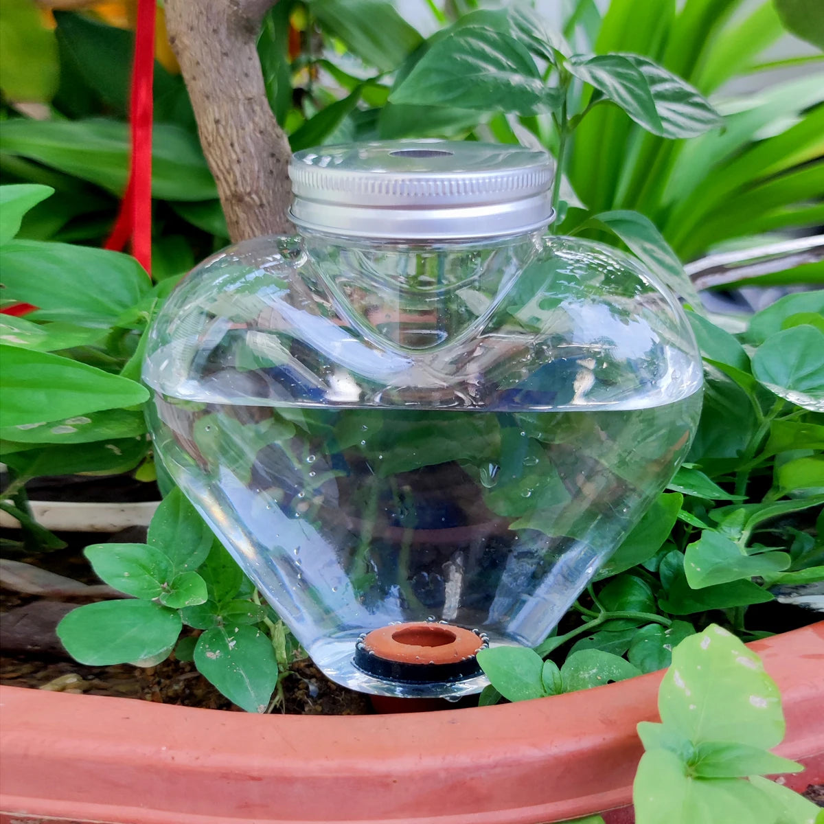 Automatic Plant Watering Spikes – 2-Pack for Potted Flowers
