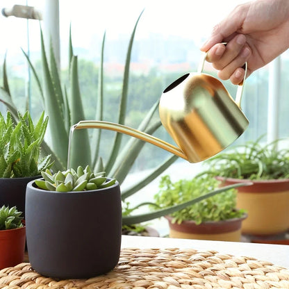 Stainless Steel Watering Can – Long Nozzle Copper Finish