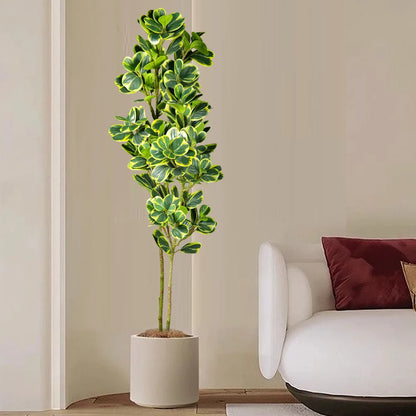 Artificial Ficus Tree – 76cm / 115cm Green Heart Leaves