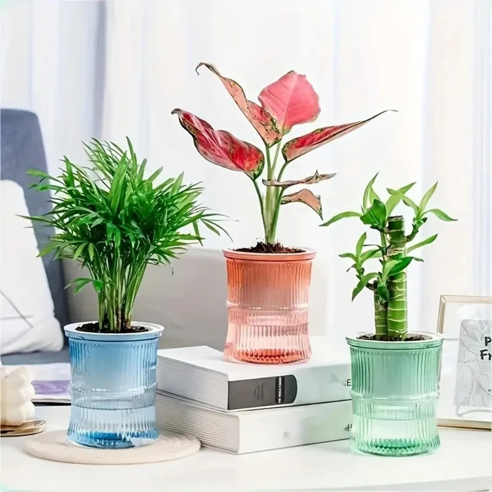 Self-Watering Hydroponic Flower Pot – Transparent Double-Layer Planter