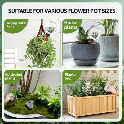 Automatic Self-Watering Plant Bulbs – 2/4 Pack, 500ml