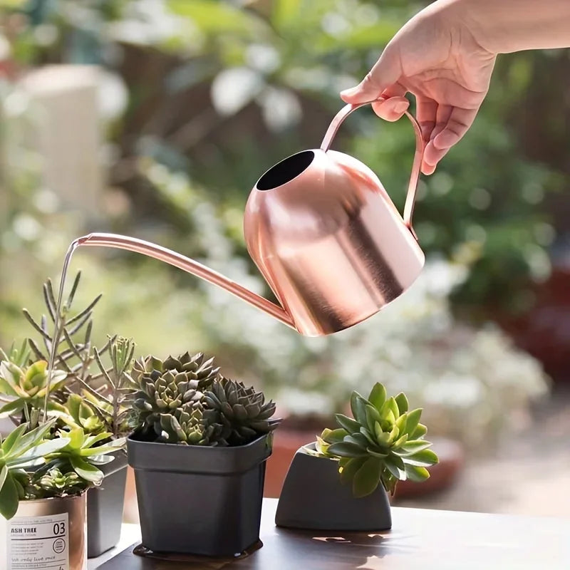 Stainless Steel Watering Can – Long Nozzle Copper Finish